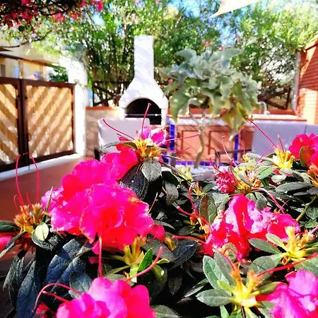 Marinella Selinunte's Holiday home