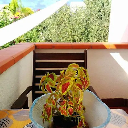 Marinella Selinunte's Holiday home Marinella di Selinunte